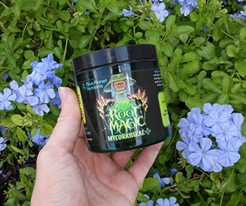 Root Magic Mycorrhizae + polvo ultrafino para plantas miniatura 2