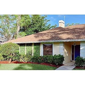 DOEWORKS Expandable Fence Privacy Screen for Balcony Patio Outdoor, 2PCS Faux Ivy Fencing Panel for Backdrop Garden Backyard Home Decorations DOEWORKS Expandable Fence Privacy Screen for Balcony Patio Outdoor 2PCS Faux Ivy Fencing Panel for Backdrop Garden Backyard Home Decorations