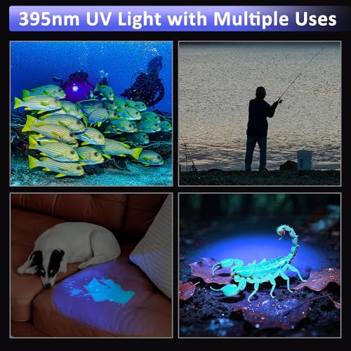 Lampe de plongée UV étanche avec indicateur alimentation - 7