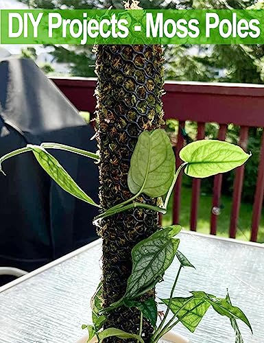 16In x 15Ft Plastic Chicken Wire Mesh Fencing, TOYPOPOR 500GSM Durable Heavy Duty Hexagonal Chicken Wire for Cat Dog Fencing, Garden Fence, Aquarium, Moss Pole, Aperture 0.4'', Rustproof, Easy to Cute