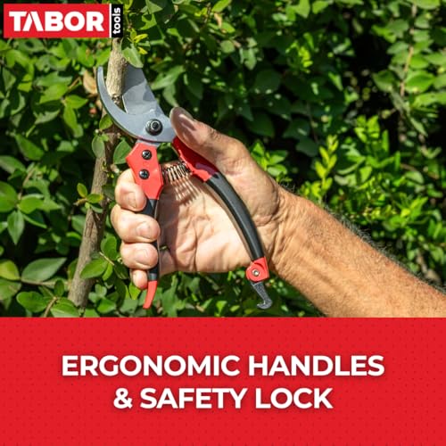 Tijeras de podar TABOR TOOLS S821A con hojas cromadas 3/4 pulg miniatura 4