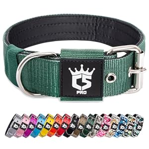 TSPRO Collar Táctico Perro Collar Grueso para Perros 3,8 cm de Ancho Collar Perro Hebilla de Metal Cómodo Collares para Perros Se Ajusta a Cuellos de 44,5 a 52 cm (Verde -M)