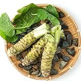 semillas de wasabi, frescas orgánicas jardín interior lecho elevado 50pcs