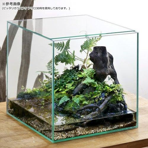 HERALD AQUARIUMS ガラス水槽 40×40×40 cm Amazon | 水槽 キューブ 40CM W40×D40×H40cmフレームレス アクアリウム