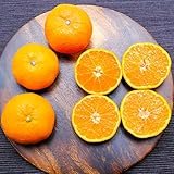 あんみつ姫 みかん 赤秀 L 約3kg 佐賀県産 誕生日 プレ ゼント フルーツ ギフト