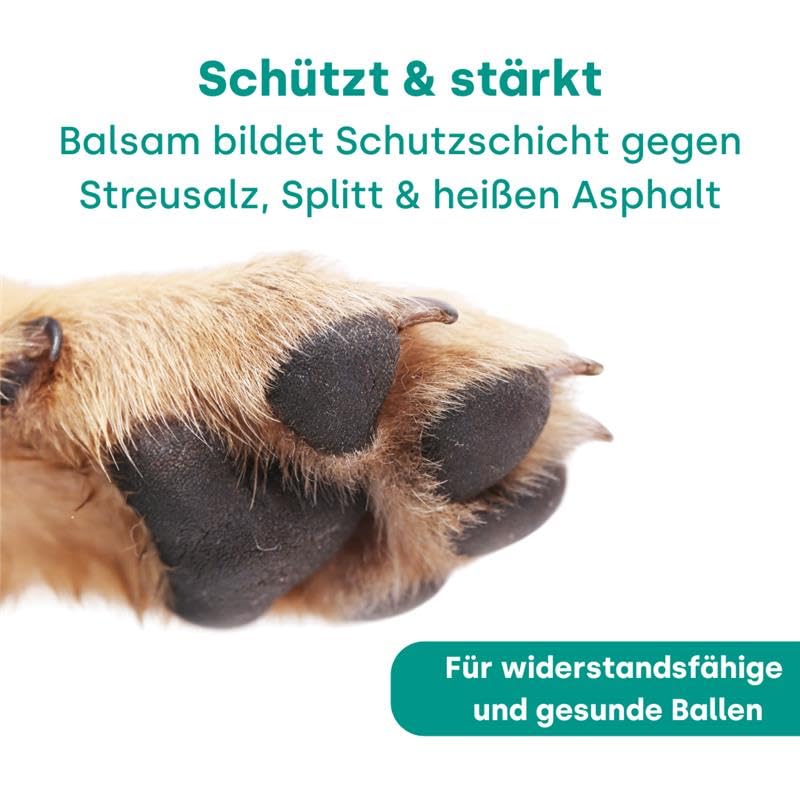 Emmi-pet Pfötchenpflege 2in1 Natur 50 ml – Veganer Pfotenbalsam Hund mit Sheabutter, Kokosöl & Kräuterextrakten, schützt & regeneriert - gegen Risse & raue Ballen, Natürlich - zieht schnell EIN