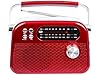 Trevi RDA 70 BR Radio Portatile Wireless Multibanda FM AM SW con USB, Micro SD, MP3 e Batteria Ricaricabile al Litio, Compatta, Versatile e Ideale per Viaggi, Rosso