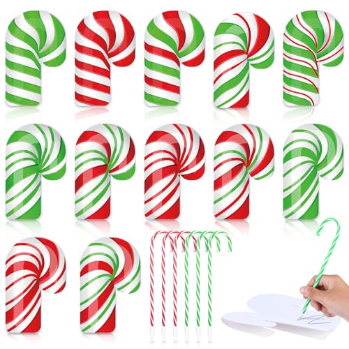 Supervitae 48{/24Zbg NX}X LfBP[ {[y m[gZbg ~j LfBP[^ pbh  yoN NX}XXgbLOlߕ x  J ObY obO