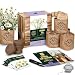 Indoor Herb Garden Seed Starter Kit - Organic Herbal Tea Growing Kits, Grow Medicinal Herbs Indoors, Lavender Chamomile Lemon Balm Mint Seeds, Soil, Plant Markers, Planting Pots, Infuser, Planter Box