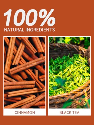 Image of TeeLux Cinnamon Black Tea Bags, Premium Blend with Natural Cinnamon, Smooth & Mellow Flavor, 100 Count