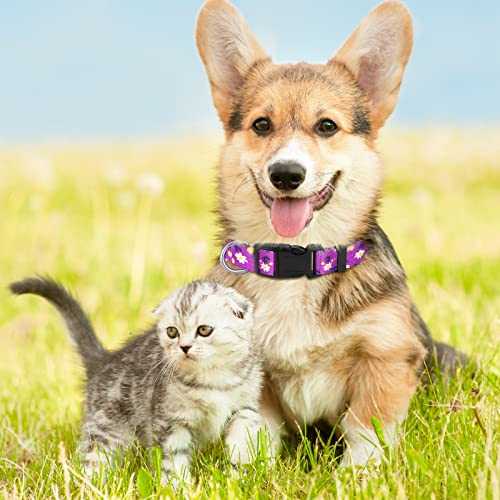 6 Pieces Flower Dog Collars For Small Medium Large Dogs Spring And Summer Cute Pet Floral Collar Pack Soft Adjustable Breakaway Puppy Collar, Assorted Colors (S Size) #TOP4