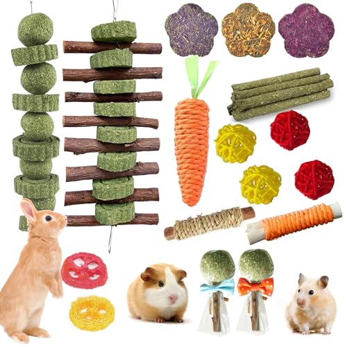 WDEFUN 21PCS Rabbit Chew Toys for Teeth Grinding Natural Timothy Hay Cakes Treats for Bunny Organic Apple Wood Sticks Toy Set for Guinea Pigs Hamsters Chinchillas Dental Health & Boredom Relief