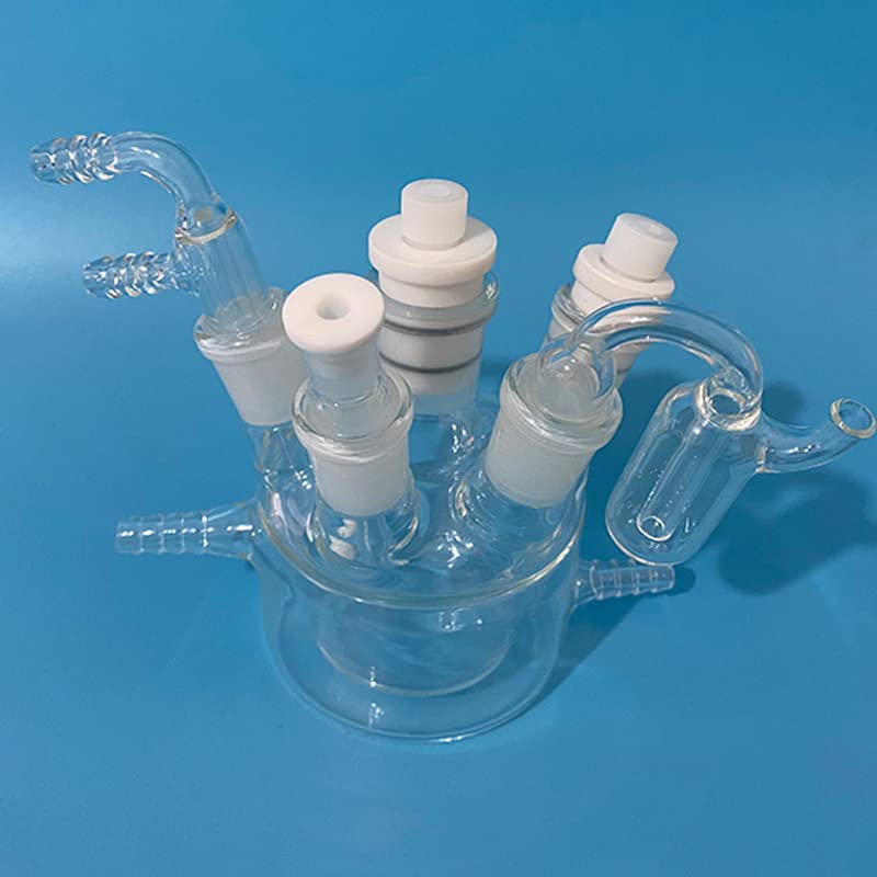 Double Layer Water Bath Temperature Control Five Port electrolyzer redox Reaction Experimental electrolyzer (Double Layer -250ml)
