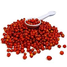 Dried Chiltepin Peppers Chili Tepin // Weights 10 Lbs and 15 Lbs 10