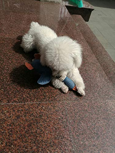 Vitscan Hundespielzeug für Aggressive Kauer, unzerstörbar, große Rassen und quietschende Gans für große, kleine, mittelgroße Hunde