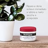 Scheda neutrogena balsamo labbra formula norvegese