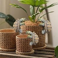 Hekasvm Gartenfiguren Frösche – 3-teiliges Set Niedlicher Frosch-Figuren Für Garten-Deko
