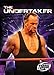 The Undertaker (Pro Wrestling Champions)