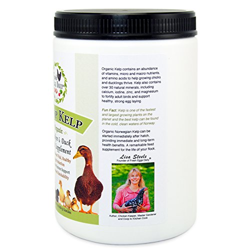 Fresh Eggs Daily Coop Kelp Organic Chicken and Duck Feed Supplement 7LB - Thumbnail 6