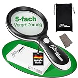FEINBLICK Große Lupe mit Licht, Beleuchtung 18 LED, kalt/warm mit 5X Vergrößerung, für Links- und Rechtshänder, Lesehilfe für Senioren, für Münzen, Sammelkarten, Büro, Bücher, Leselupe