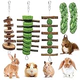 Grembeb 5pcs Rabbit Toys,Bunny Chew Treat for Teeth Grinding,Hanging Timothy Hay Ball Apple Stick Wood +Alfalfa Grass Cake Food Snack for Cage Guinea Pig Chinchilla Hamster Squirrel Gerbil Rat