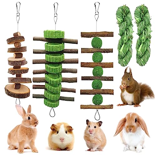 5pcs jouets à mâcher lapin balles foin bâton pomme bois animaux