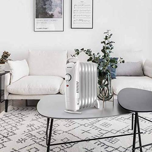 Homeleader Oil Filled Radiator Heater, 700W Space Heater, Portable Overheating Protection Oil Heater, for Home and Office, White