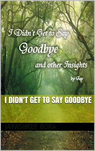 I Didn't Get To Say Goodbye