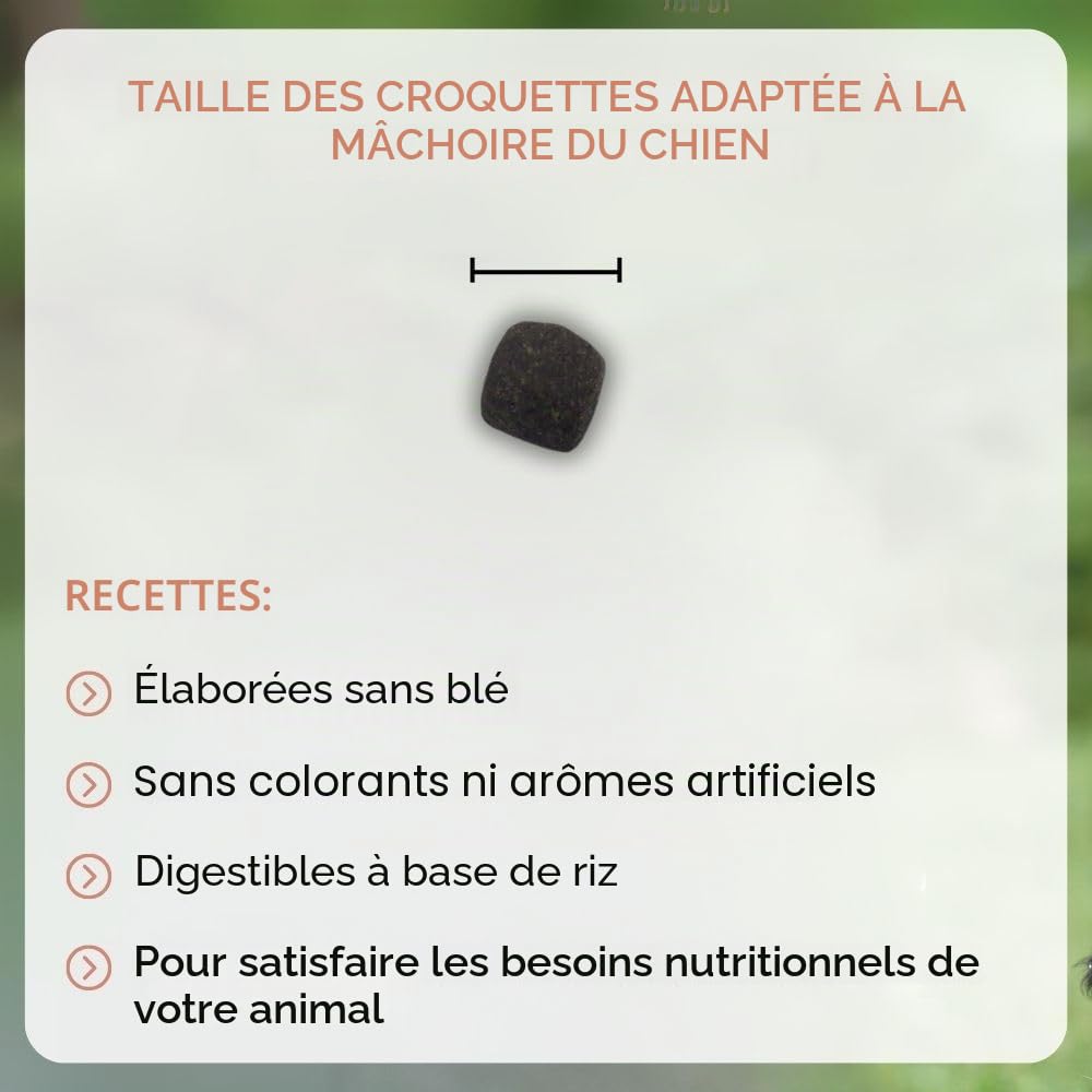 NUTRIVET - Super Premium - Saumon Riz - Croquettes sans Blé - Chien - Riche en Protéines Animales - 15 kg