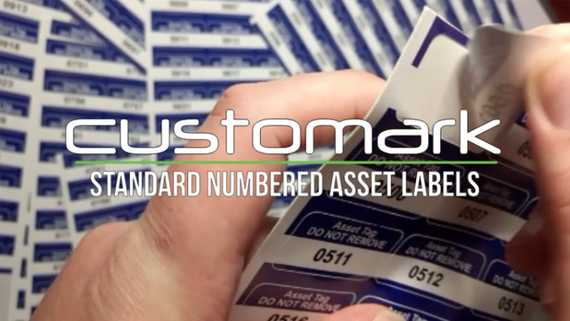 Blue Asset Tag Labels - Barcoded and numbered 501 to 1000 - 38mm x 20mm Permanent synthetic PP labels - Price per pack of 500 labels (P/NO. 7828256B