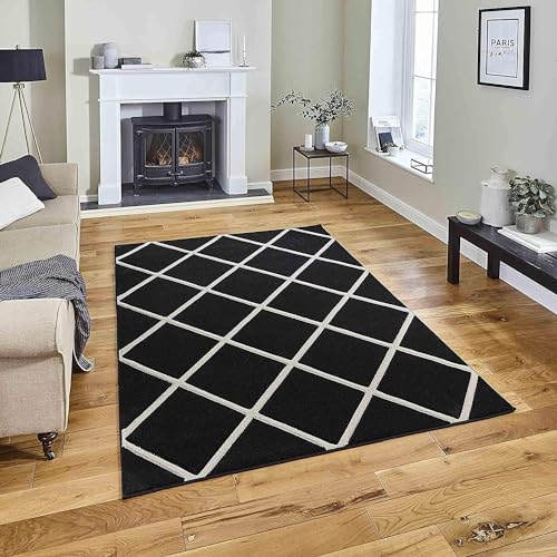 Image of AROMICK Modern Polyester Anti Slip Shaggy Fluffy Rug and Carpet for Living Room, Bedroom & Dining Room (4 x 6 Feet, Black Ivory Box)