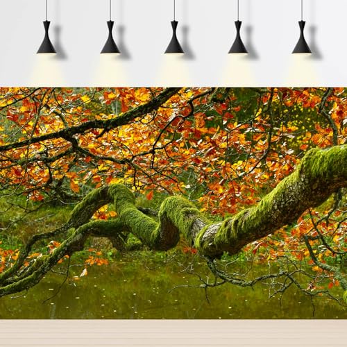 Image of Autumn Theme Aquarium Background Jungle Rainforest Lush Moss Fish Tank Background Fall Style Maple Leaf Garden Lake Reptile Tank Backgrounds Old Tropical Trees Reptile Enclosure Backgrounds 36x20in