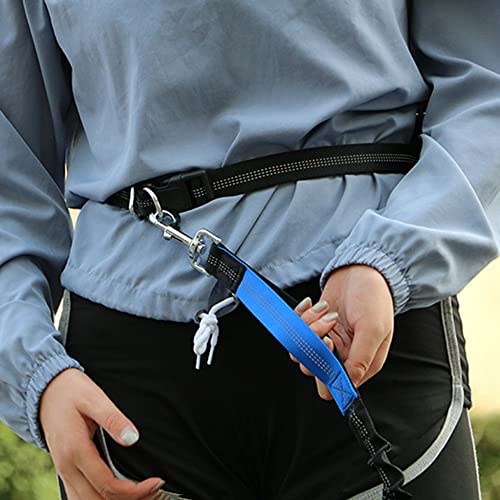 DONGKER Bungee Dog Leash - Image 2