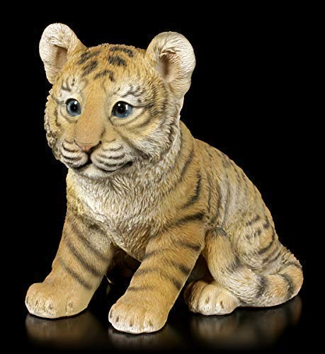 Figuren Shop Gmbh Fantasía Figura de Jardín - Pequeño Tigre Bebé Carácter Animal, Pintado a Mano