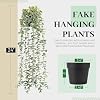 Der Rose 1Pcs Fake Plants Hanging Artificial Potted Faux Eucalyptus Plants for Modern Boho Farmhouse Bathroom Office Desk Wall Art Shelf Living Room Aesthetic Decor Indoor #2