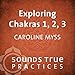 Exploring Chakras 1, 2, and 3