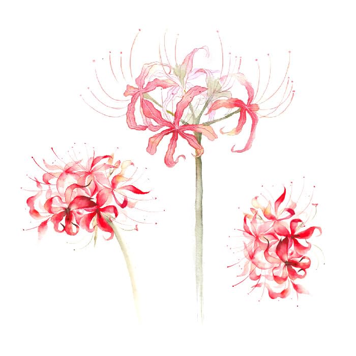 PEKNUX3 pcs Bianhua Temporary Tattoo Girl Antique Lasting Waterproof Realistic Tattoo Sticker