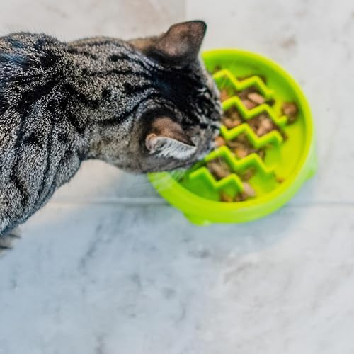 Petstages Tigela Para Alimentação Lenta Para Gatos
