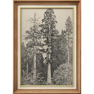 SIGNWIN Premium Frame Art Elegant Vintage Tree Drawing Illustrations Fine Art Traditional Iconic for Living Room, Bedroom, Office – 26″x36″ Natural