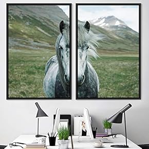signwin 2 Piece Framed Canvas Wall Art Horse...