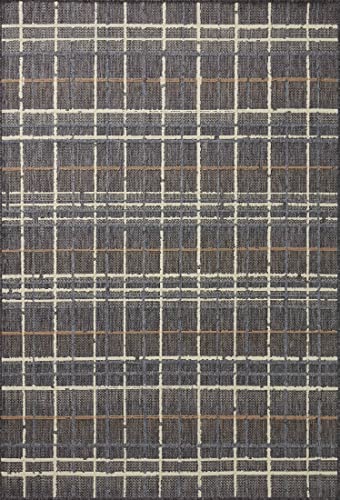 Loloi II Rainier Collection RAI-11 Indoor/Outdoor, Charcoal/Multi 5'-3