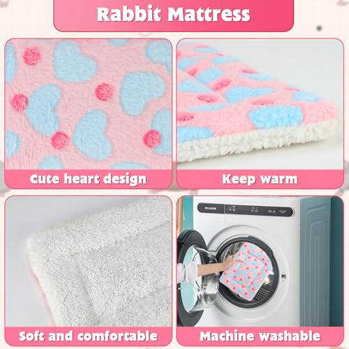Sbayool 5PCS Guinea Pig Bed Mat, Warm Fluff Guinea Pigs Blankets - Image 3