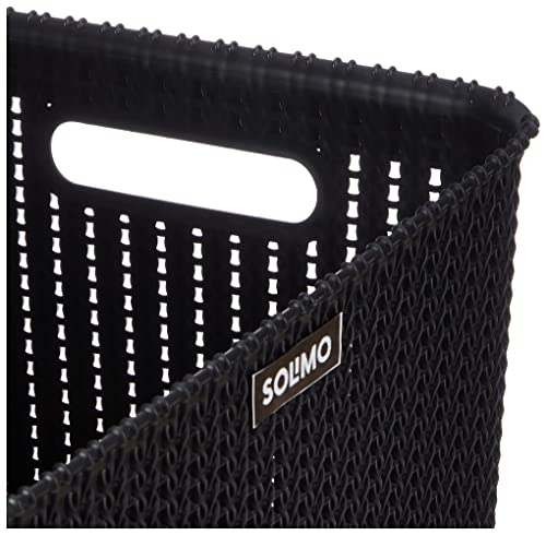 Image of Amazon Brand - Solimo Organizer Basket With Lid, Black