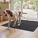 DEXI Fußmatte Innen 60 x 90 cm, rutschfeste Schmutzfangmatte, Maschinenwaschbare Fussmatte, Saugstarke Türmatte, Sauberlaufmatte, Eingangsteppich für Hund, Haustür & Flur, Schwarz-grau
