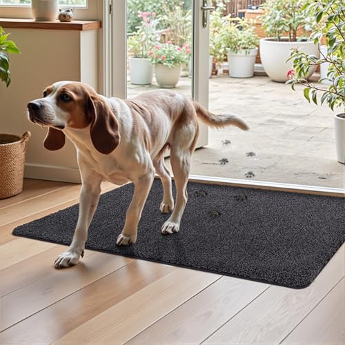 DEXI Fußmatte Innen 60 x 90 cm, rutschfeste Schmutzfangmatte, Maschinenwaschbare Fussmatte, Saugstarke Türmatte, Sauberlaufmatte, Eingangsteppich für Hund, Haustür & Flur, Schwarz-grau