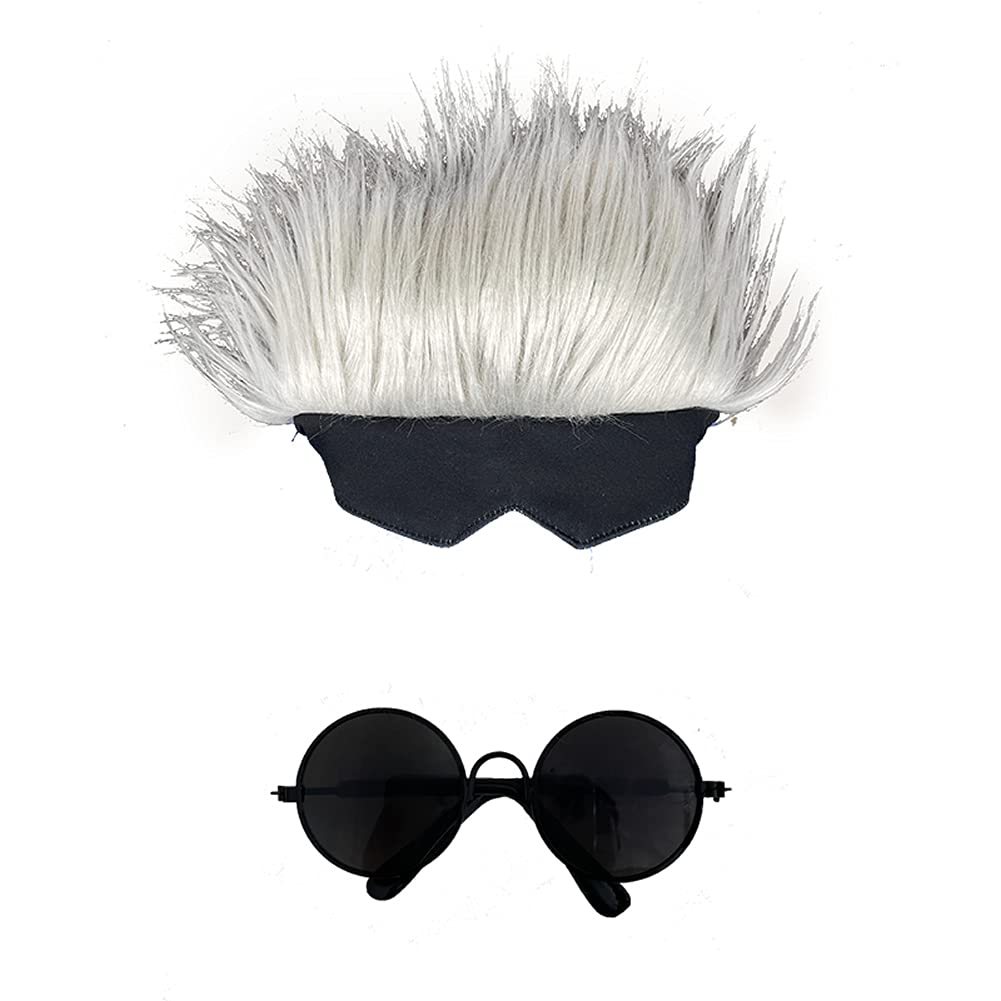 Amazon.com : PPONE Gojo Satoru Pet Costume for Cat Jujutsu Kaisen Cosplay  Dog Costume Gojo Satoru Sunglasses Cat Headgear Halloween (Sunglasses + Wig  Headgear, one Size) : Pet Supplies