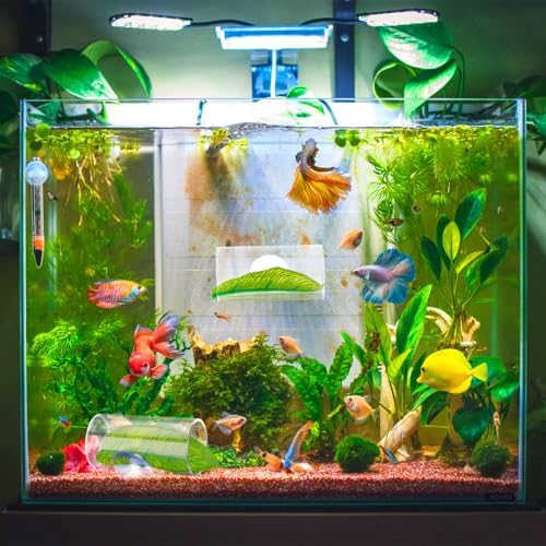 Image of NQEUEPN 2pcs Betta Fish Acrylic Tube Tunnel with Pretended Leaf Suction Cup, Transparent Betta Fish Tank Decorations, Aquarium Decorations (Transparent)