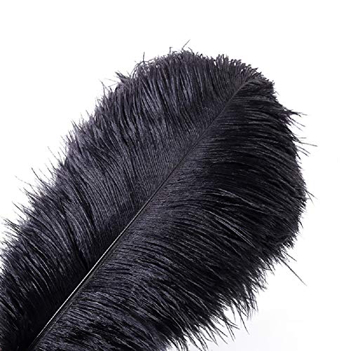 Weimi 10pcs Plumes Naturelles d'Autruche Plume 12-14inch (30-35cm) pour Les Centres de Mariage déCoration de La Maison (30-35cm,Noir) Cover