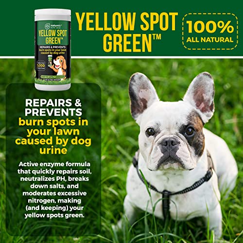Yellow Spot Green™ Cures Urine Burns And Prevents Yellow Spots In Your Yard. Dog Urine Neutralizer For Lawns. Repair And Protect Grass From Dog Pee. Easy To Use Granules. Large 32 Ounce. #TOP4