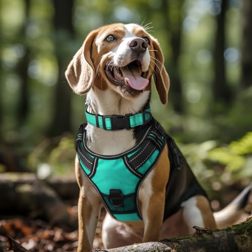 image for Joytale Reflective Dog Collar,Soft Neoprene Padded Breathable Nylon Pe